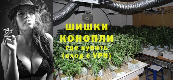 МДПВ Мегион