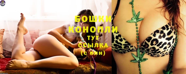 мдпв Майский
